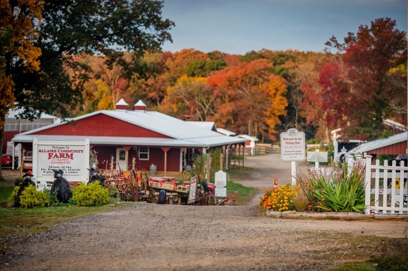 Gardens Grown With Purpose, Produce Given With Love