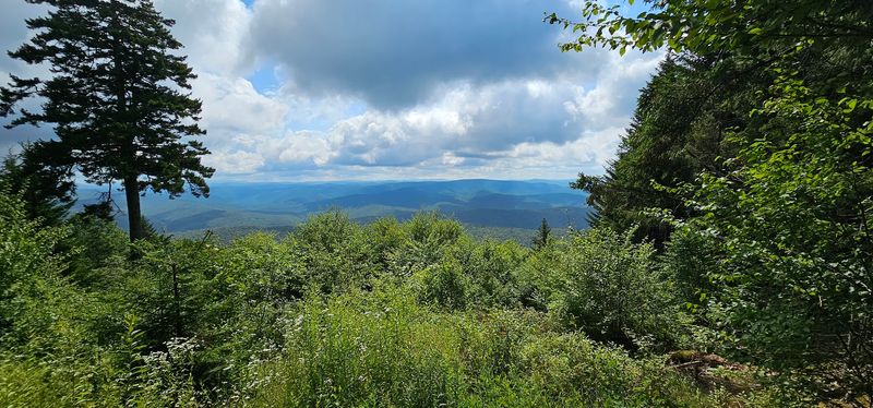 Gaudineer Knob and Gaudineer Scenic Area