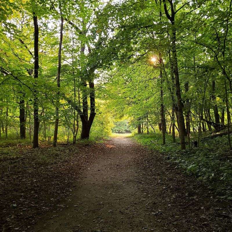 Geocaching, Stargazing, and Unexpected Park Discoveries