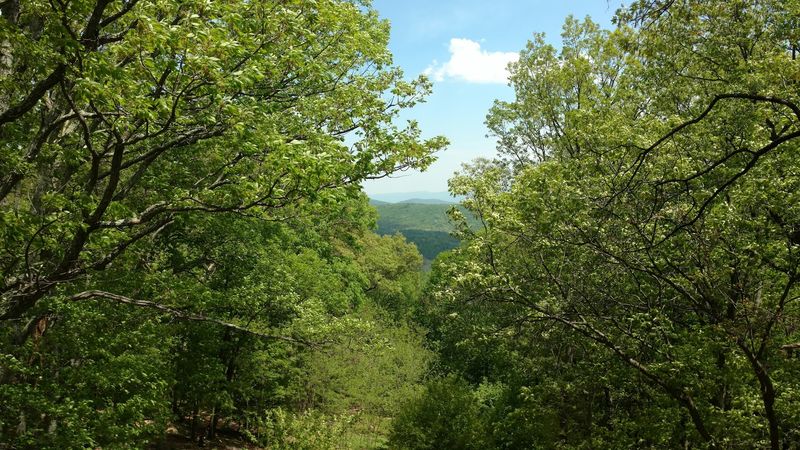 George Washington National Forest at Your Doorstep
