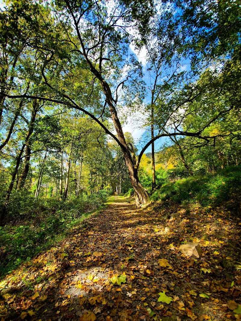 Getting There: The Road That Tests Your Commitment
