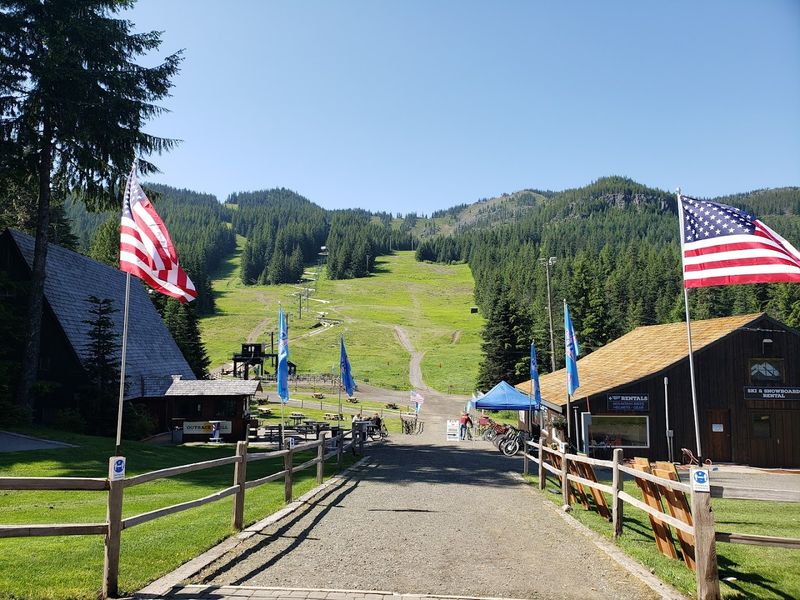Getting There and Planning Your Visit