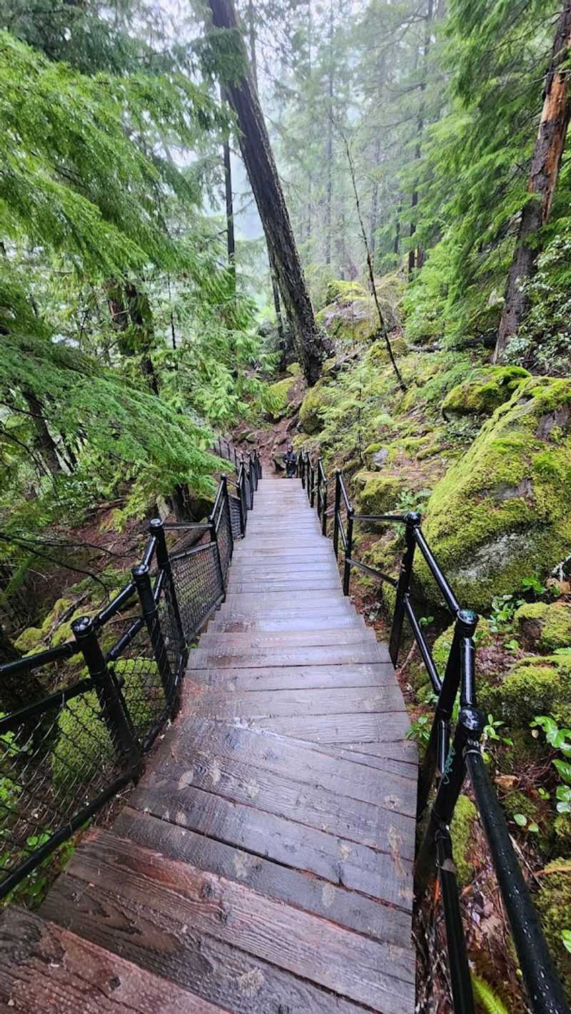 Getting There from Roseburg: The Drive Through Umpqua National Forest