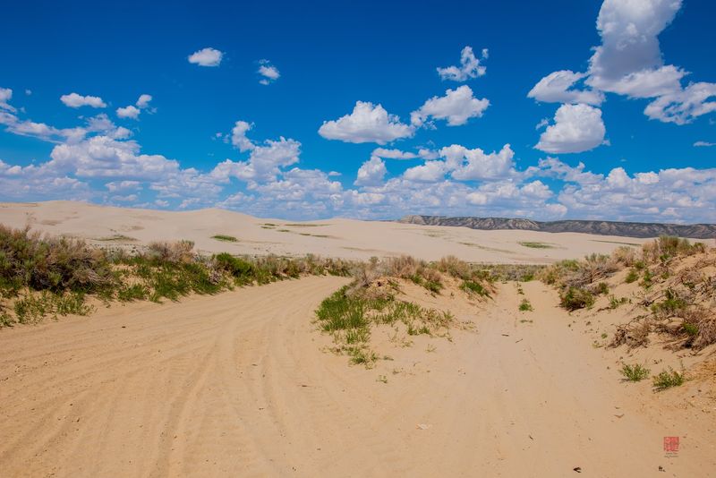 Getting to Killpecker Sand Dunes: The Road Less Traveled Getting to Killpecker Sand Dunes: The Road Less Traveled