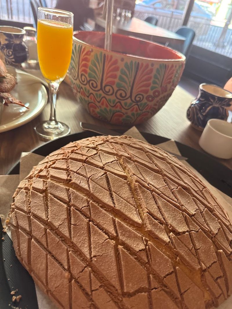 Giant Conchas That Deserve Their Own Fan Club Giant Conchas That Deserve Their Own Fan Club