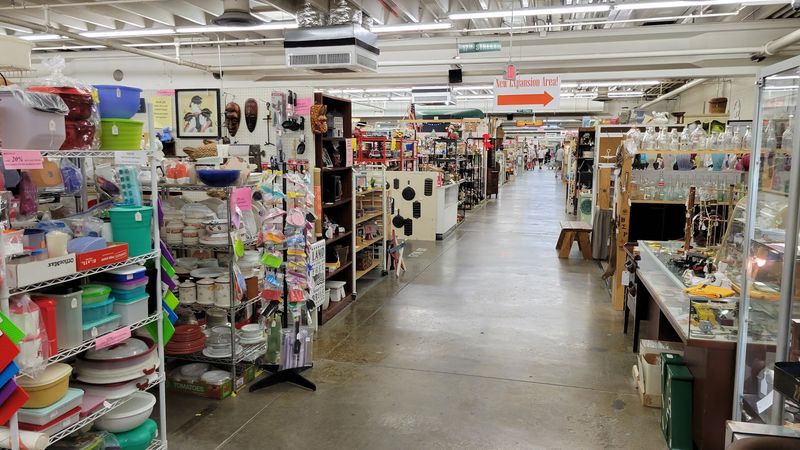 Globally Sourced Inventory That Keeps Every Visit Fresh