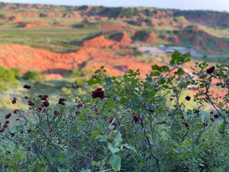 Gloss Mountain State Park, Fairview