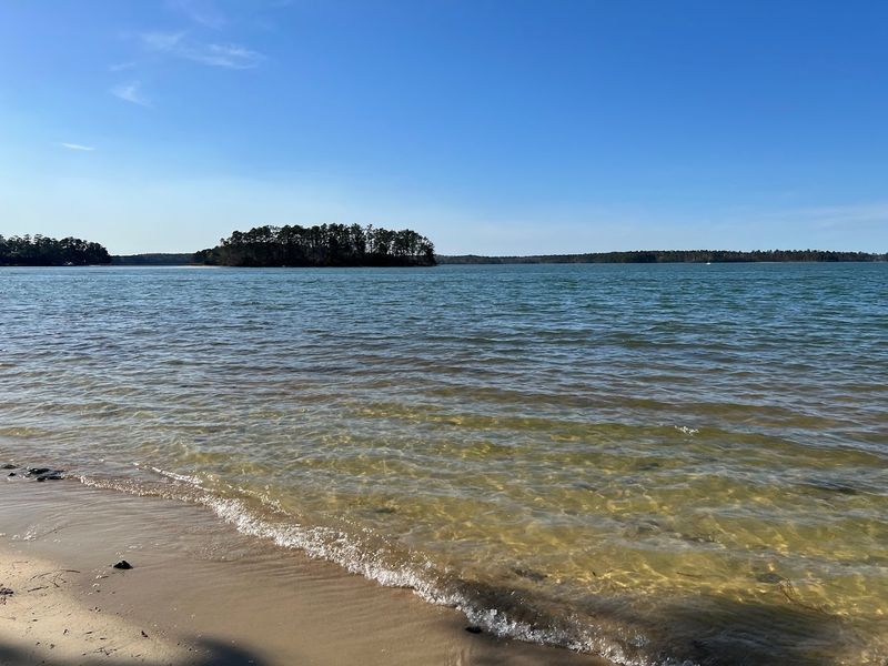 Goat Island: The Legendary Boat-Only Destination