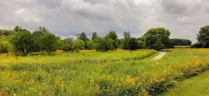 Golf Courses That Make a Sunny Day Even Better