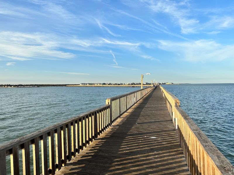 Goose Island State Park, More Than Just One Famous Tree