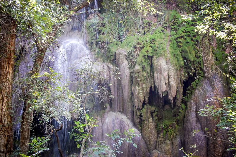 Gorman Falls