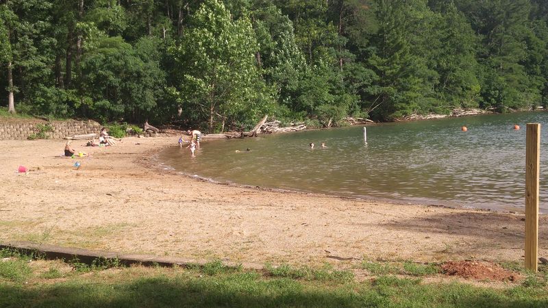 Group Picnic Shelters Perfect for Big Summer Gatherings
