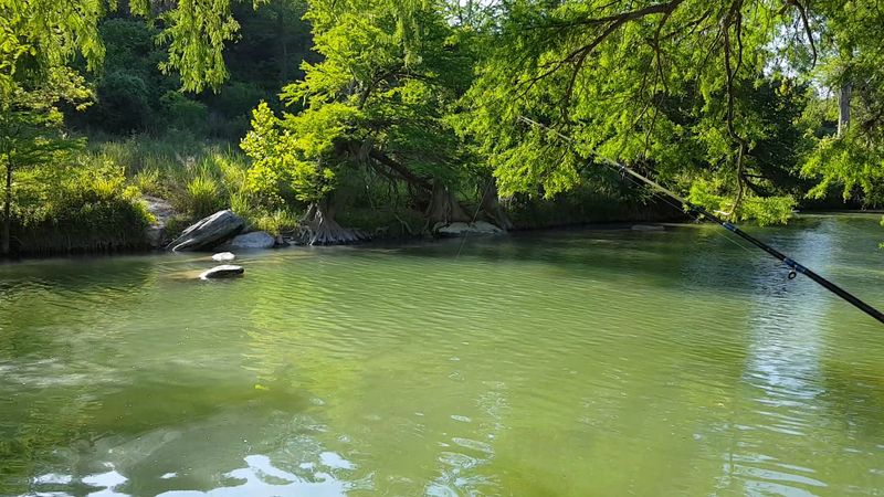 Guadalupe River
