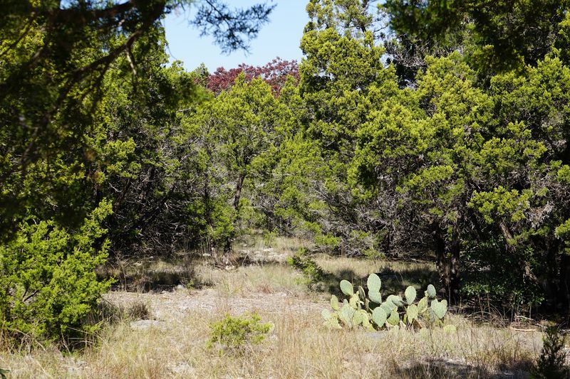 Guided Hikes Into the Least-Seen Land in Central Texas Guided Hikes Into the Least-Seen Land in Central Texas
