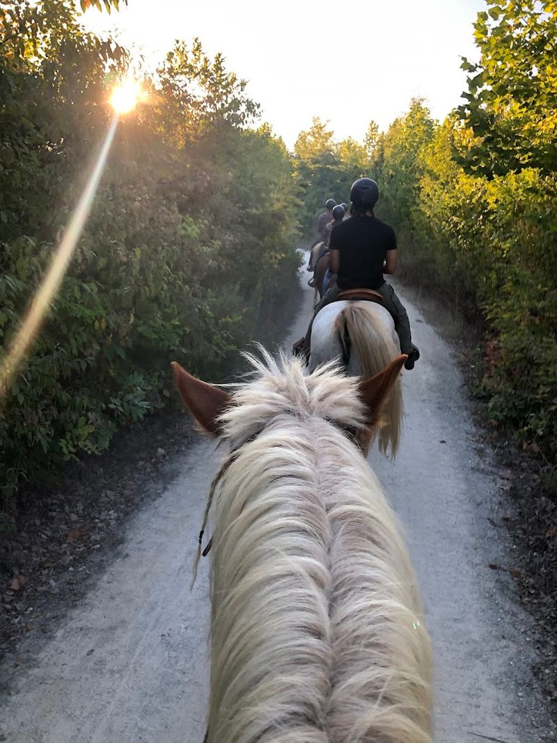 Guided Trail Rides Built for Every Skill Level