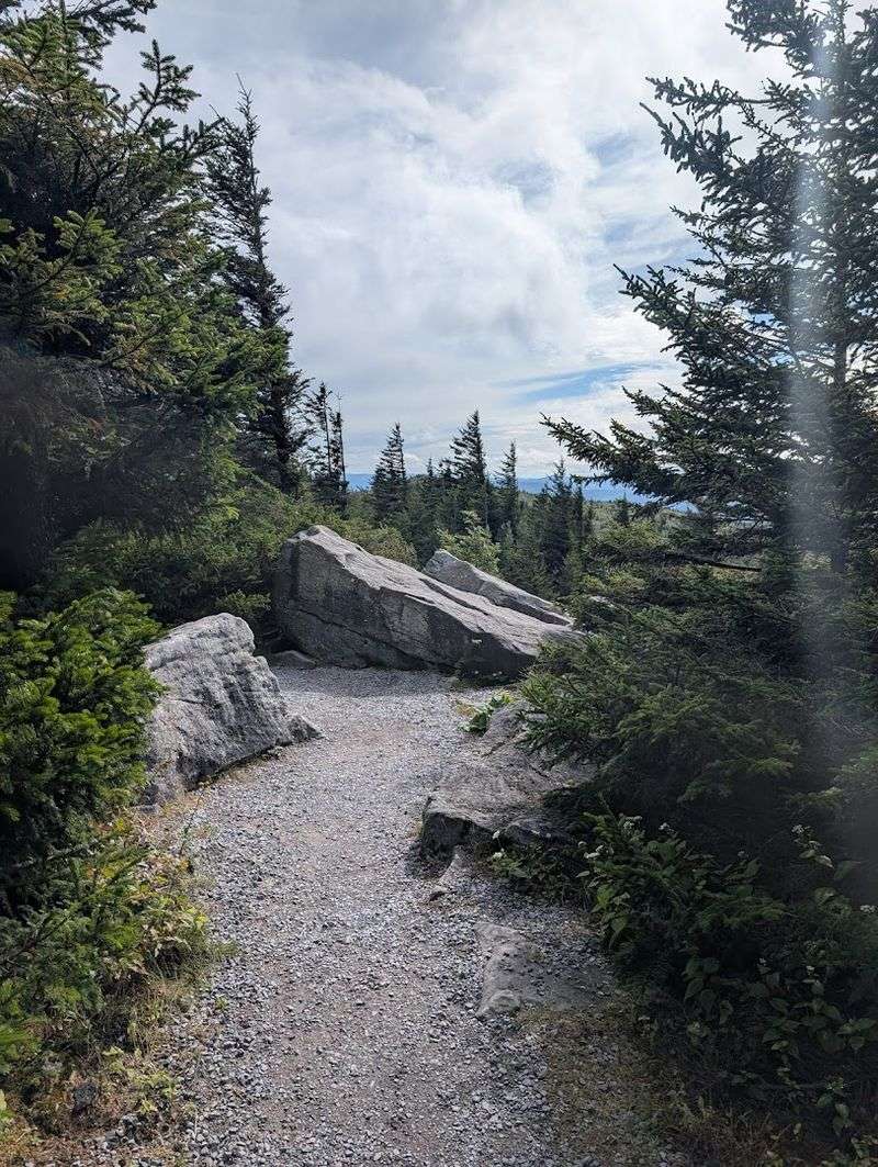 Half a Mile of Pure Mountain Magic