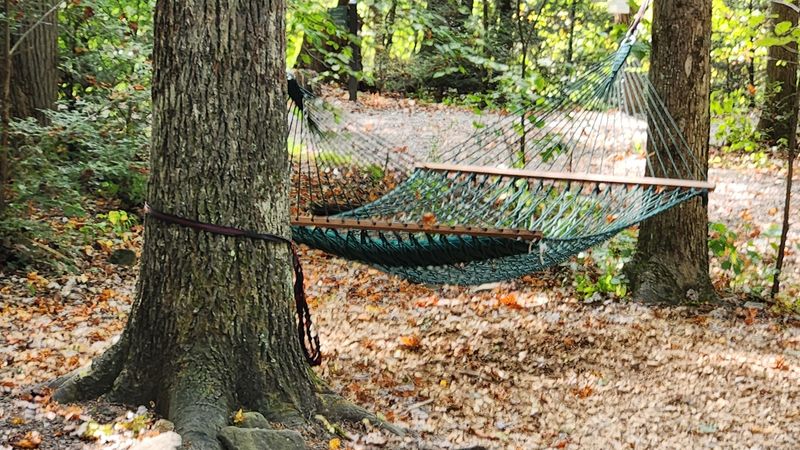 Hammock Haven, Where Time Actually Slows Down