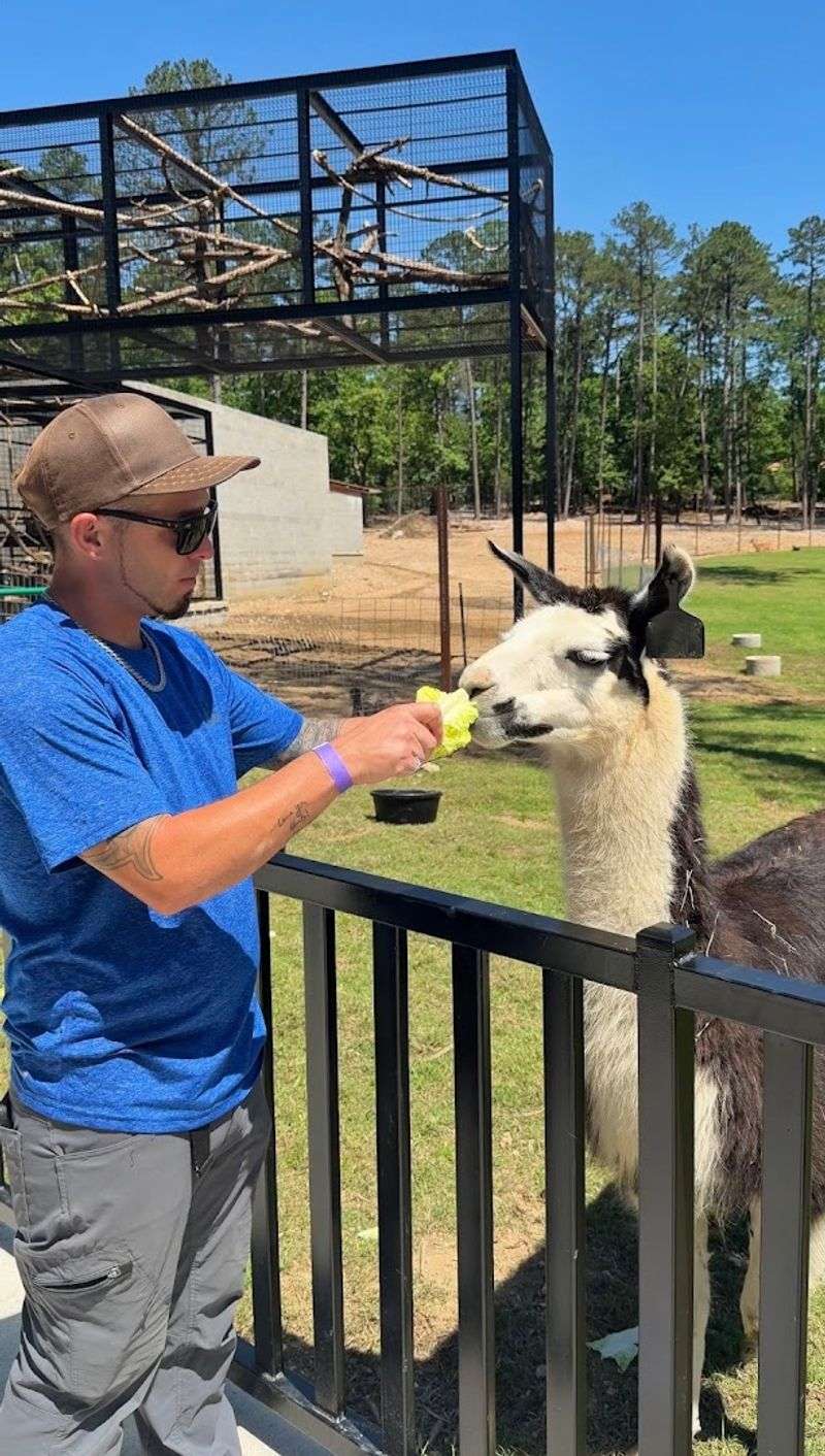 Hand-Feeding the Animals Up Close Hand-Feeding the Animals Up Close
