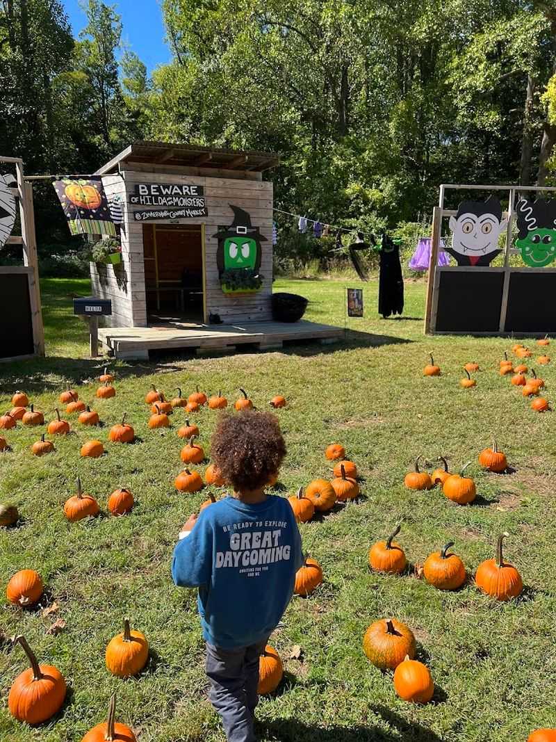 Hayrides That Bring the Fun