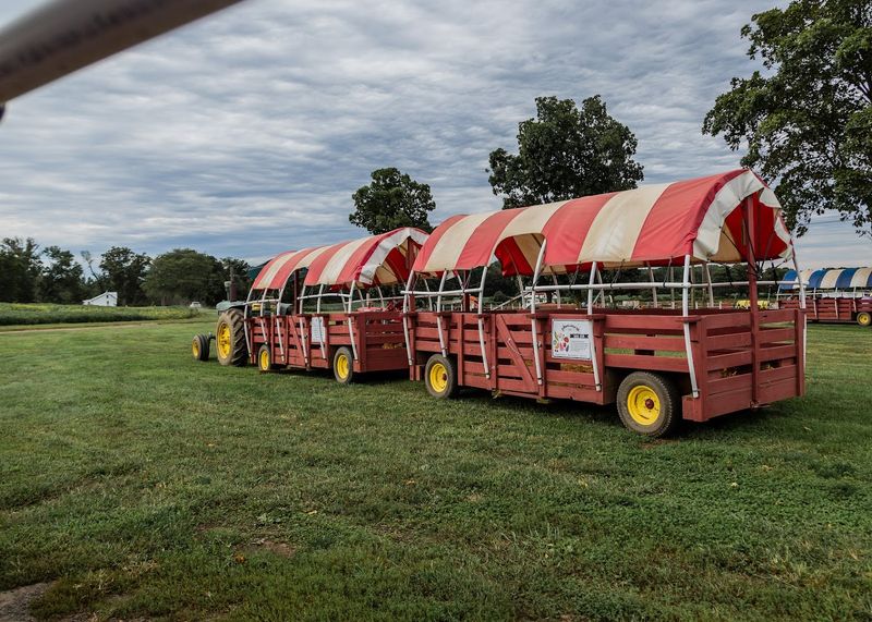 Hayrides That Catch The Last Light Of The Day