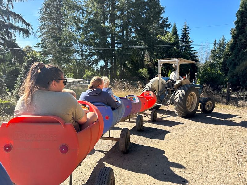 Hayrides Through the Heart of the Farm