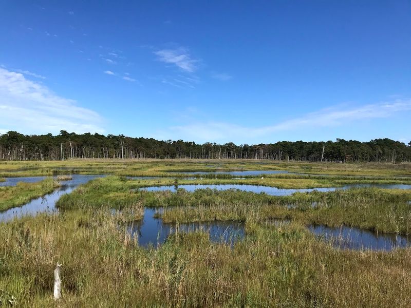 Hidden Beach Loop, Cattus Island County Park