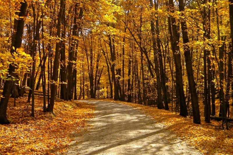 Hiking Trails Built for Every Kind of Adventurer Hiking Trails Built for Every Kind of Adventurer