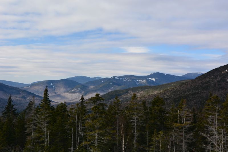 Hiking Trails That Branch Off Into Pure Wilderness