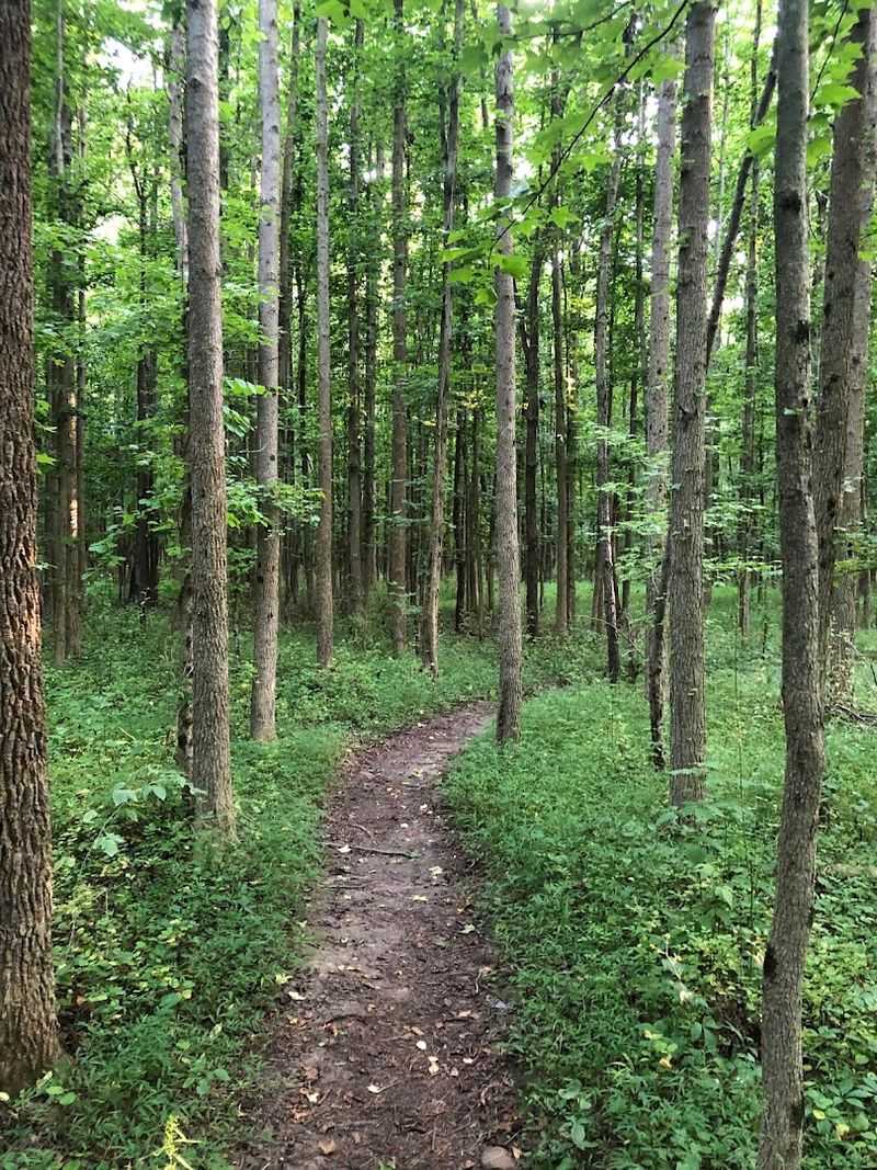 Hiking Trails That Cover Every Corner of the Park