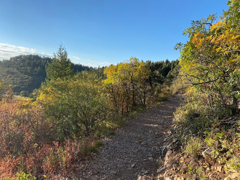 Hiking Trails That Feel Like They Are All Yours