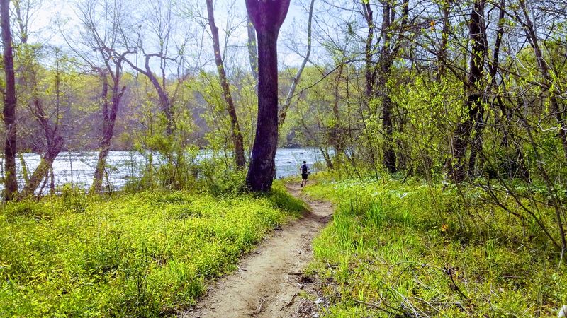 Hiking Trails That Make the Overland Journey Just as Rewarding Hiking Trails That Make the Overland Journey Just as Rewarding