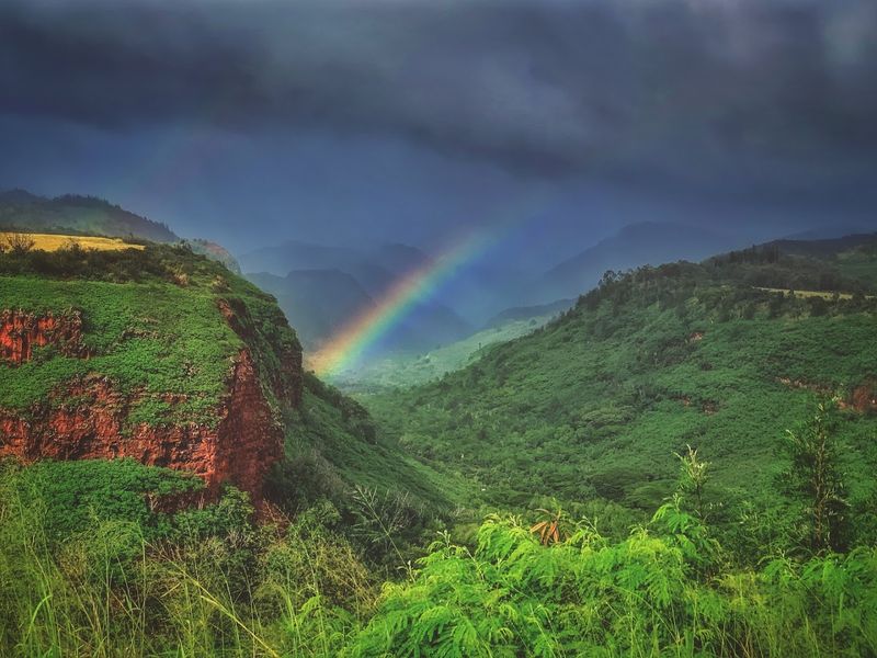 Hiking Trails That Take You Into the Canyon