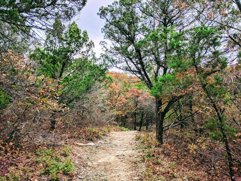 Hiking Trails That Wind Through Rugged Beauty Hiking Trails That Wind Through Rugged Beauty