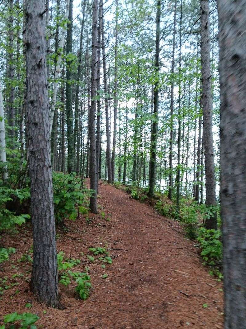 Hiking Trails Through Boreal Forest