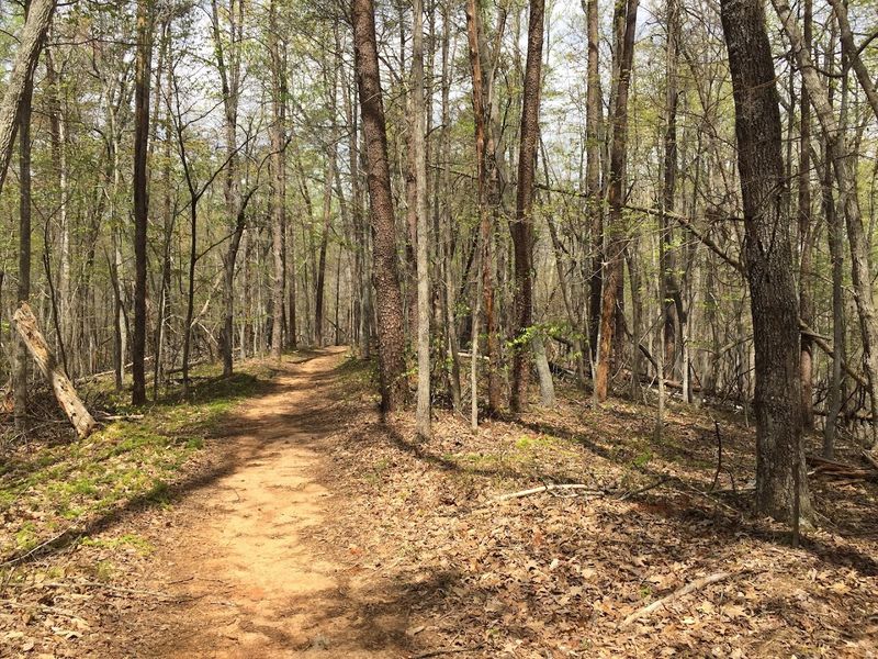 Hiking Trails With Views That Earn Every Step