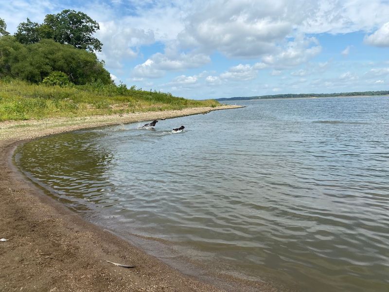 Hiking Trails and Nature Around the Lake