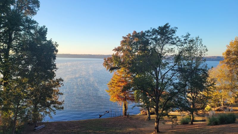 Hiking Trails and Nature Paths That Reward the Curious