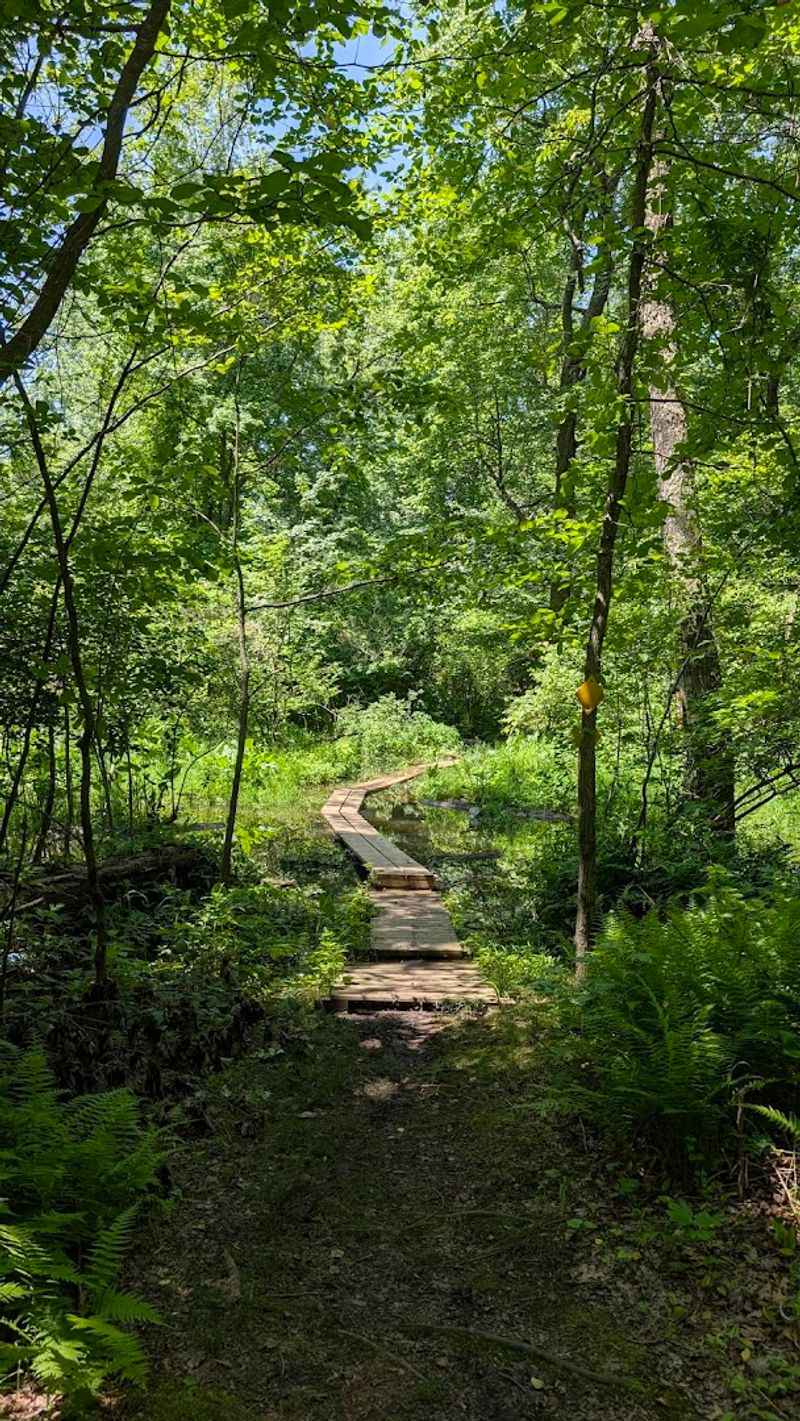 Hiking the Trails Hiking the Trails