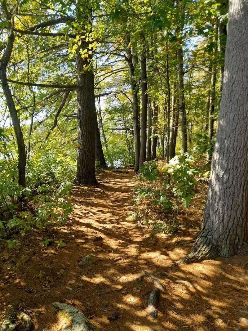 Hiking to Battery Point for a Lakeside Perspective