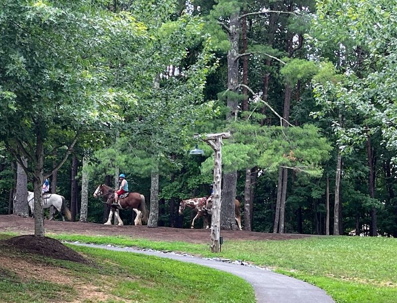 Horseback Riding Through Virginia Countryside Horseback Riding Through Virginia Countryside