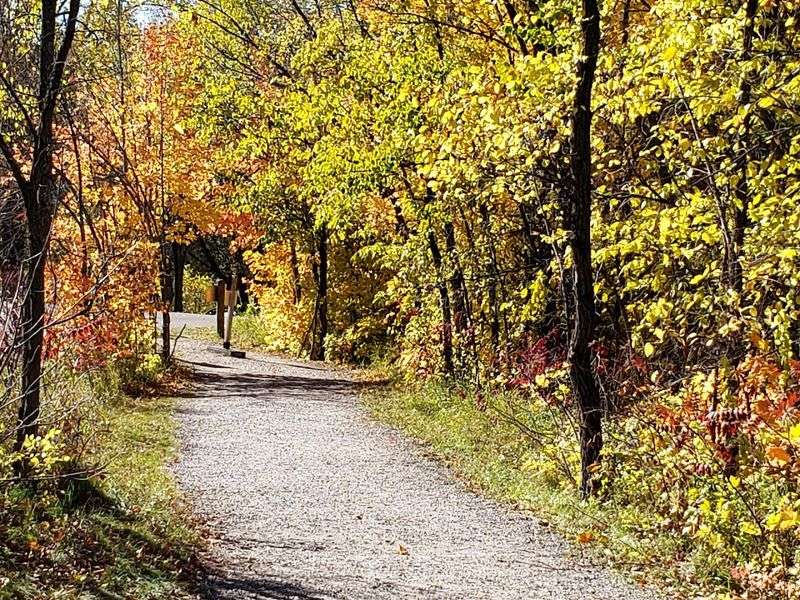Horseback Riding Trails and a Dedicated Horse Camp