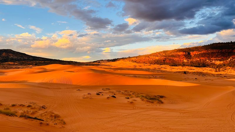 How 10,000 Years of Wind Built These Remarkable Dunes