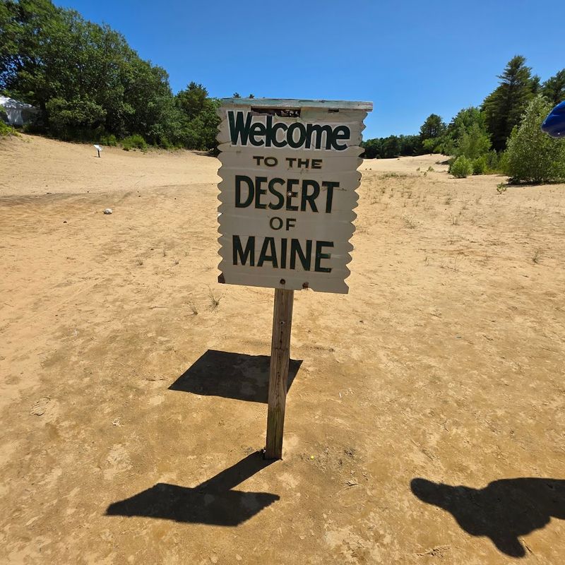 How A Desert Ended Up Here How A Desert Ended Up Here