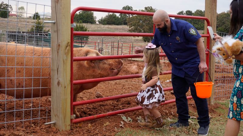 How Oliver and Friends Farm Animal Sanctuary Got Its Start