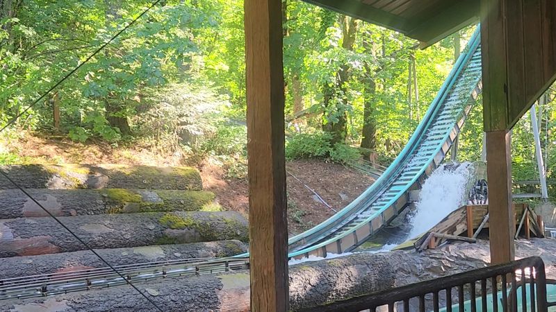 How the Logging Theme Comes Alive on the Ride