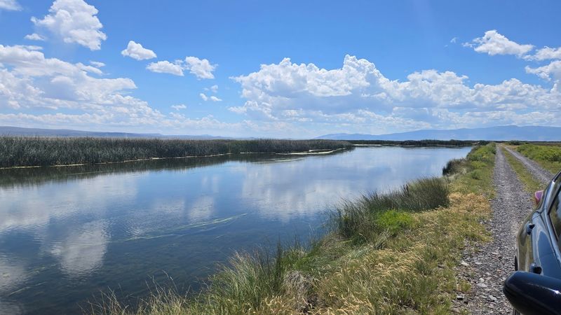 How the Wetlands Are Actively Managed