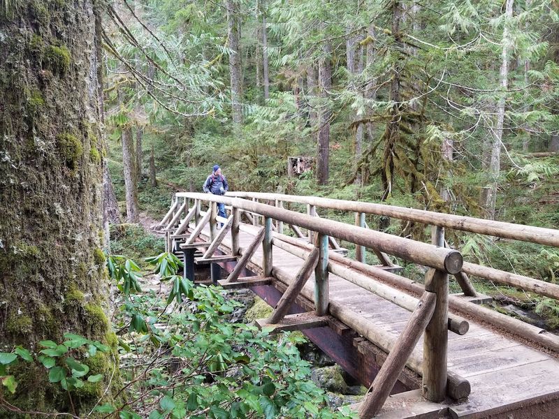 How to Plan Your Visit to Opal Creek Wilderness