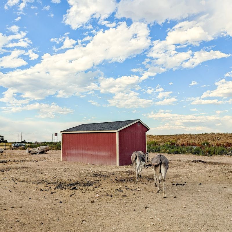How to Support the Sanctuary and Why It Matters How to Support the Sanctuary and Why It Matters