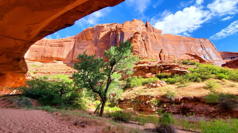 How to Visit Grand Staircase-Escalante and Actually Be Prepared How to Visit Grand Staircase-Escalante and Actually Be Prepared