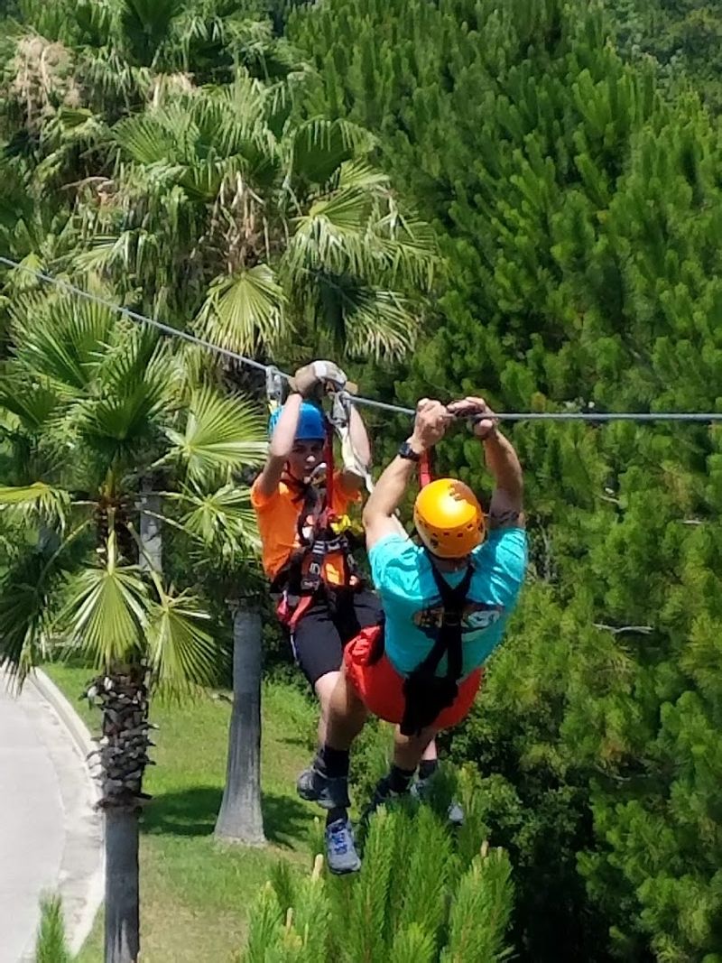 Hummingbird Zipline Course: Soar Above Orange Beach at Gulf Speed Hummingbird Zipline Course: Soar Above Orange Beach at Gulf Speed
